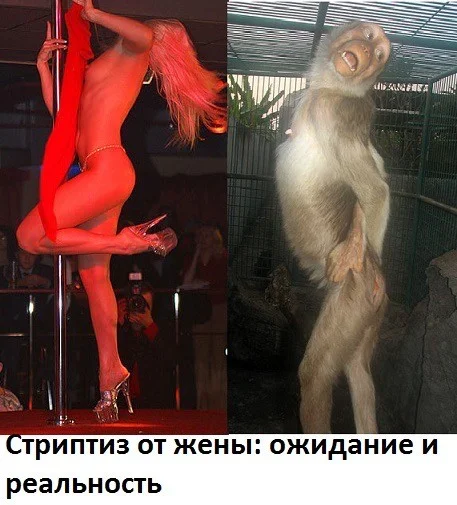 Заряжаемся позитивом: свежие мемы и приколы мемы, приколы, юмор, подборка, позитив