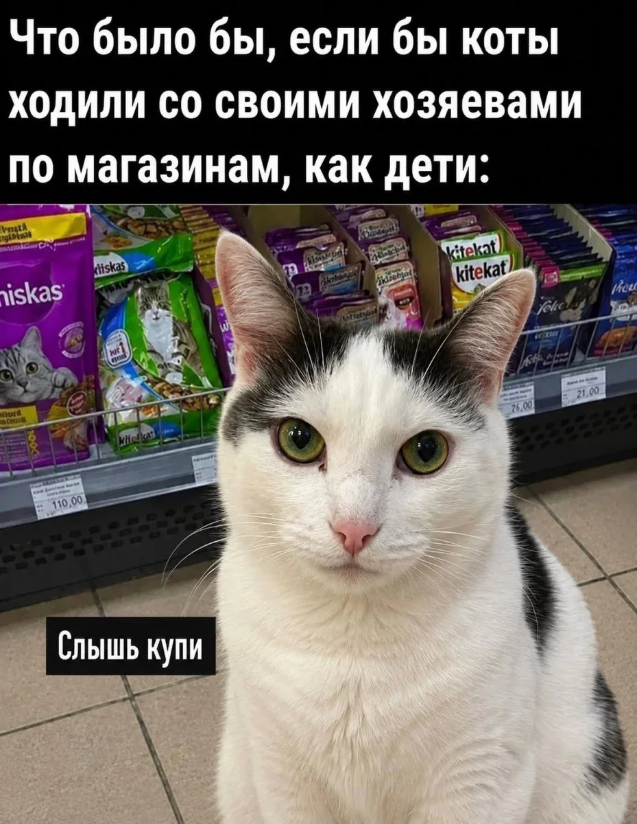 Мемная зарядка на 11 августа: от разборки ПК до птичьей недвижимости мемы, приколы, юмор, подборка, интернет