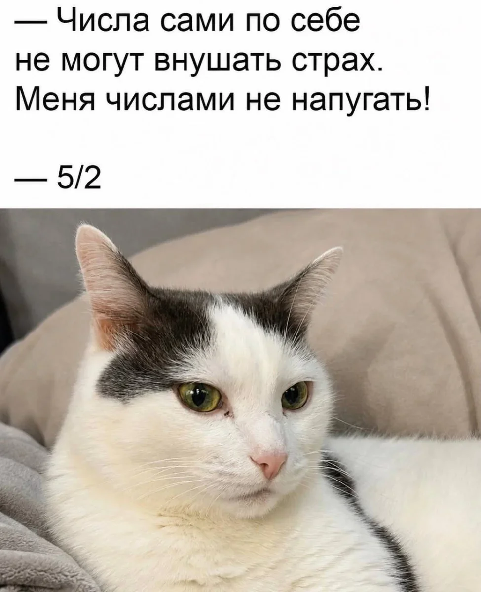 Мемная зарядка на 11 августа: от разборки ПК до птичьей недвижимости мемы, приколы, юмор, подборка, интернет