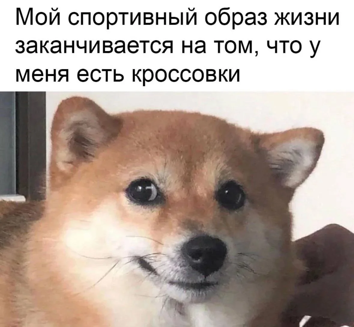 Мемная зарядка на 11 августа: от разборки ПК до птичьей недвижимости мемы, приколы, юмор, подборка, интернет