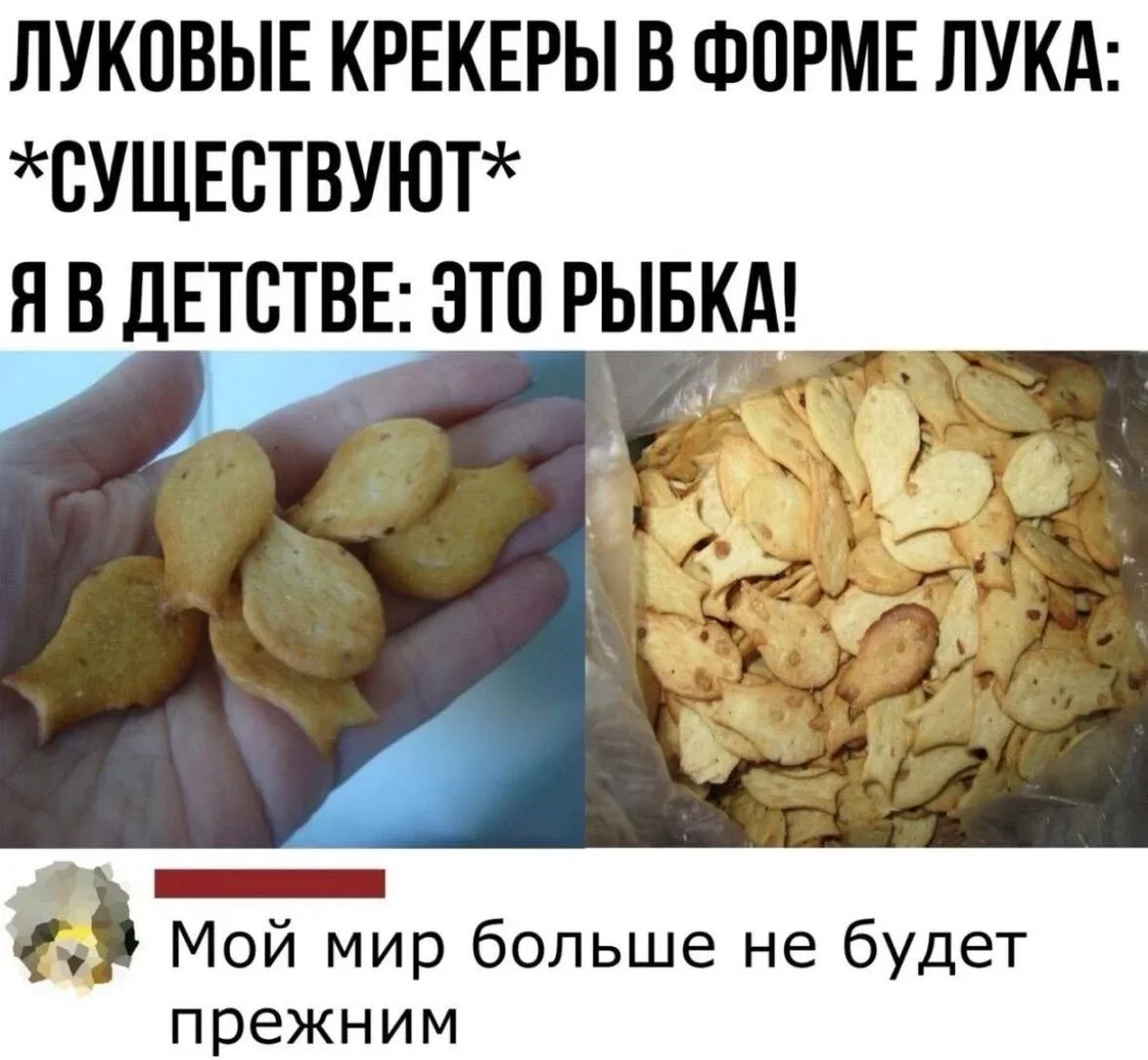 Мемная зарядка на 11 августа: от разборки ПК до птичьей недвижимости мемы, приколы, юмор, подборка, интернет