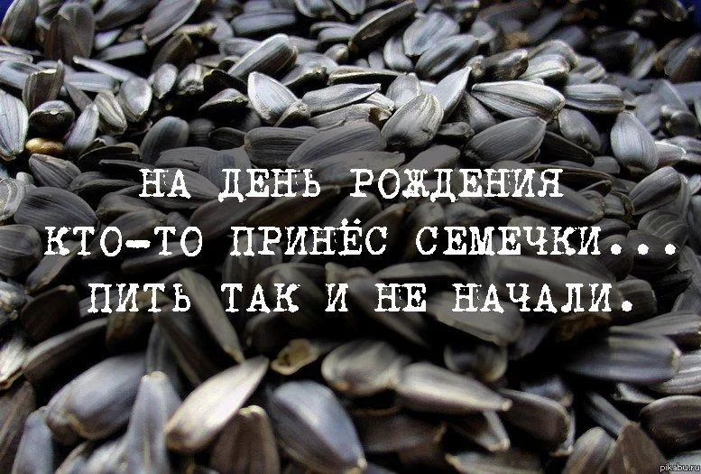 Лузгай и смейся: мемы про семечки мемы, семечки, приколы, юмор