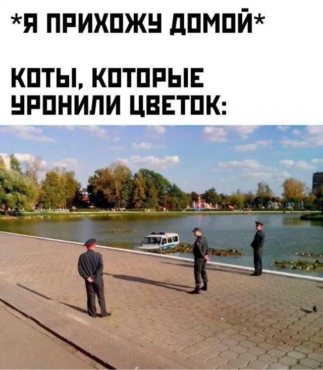 Держимся до пятницы: угарная подборка Держимся до пятницы: угарная подборка приколы, картинки, мемы, настроение, юмор, подборка