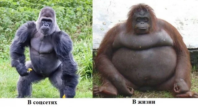 Держимся до пятницы: угарная подборка Держимся до пятницы: угарная подборка приколы, картинки, мемы, настроение, юмор, подборка
