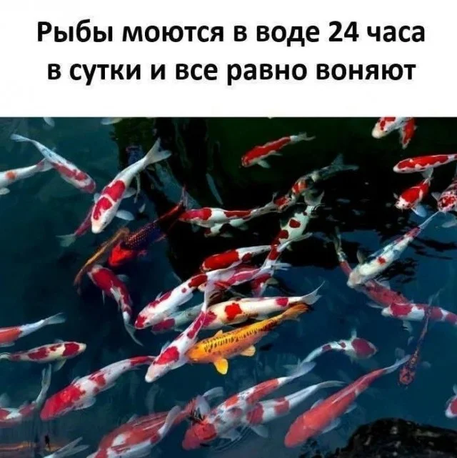 Держимся до пятницы: угарная подборка Держимся до пятницы: угарная подборка приколы, картинки, мемы, настроение, юмор, подборка