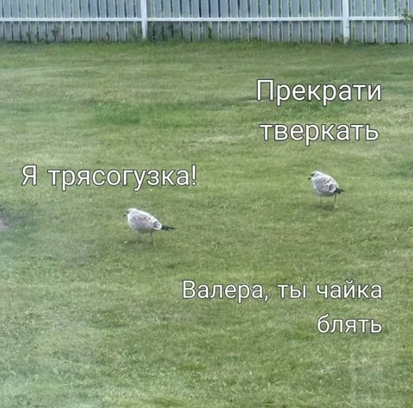 Держимся до пятницы: угарная подборка Держимся до пятницы: угарная подборка приколы, картинки, мемы, настроение, юмор, подборка