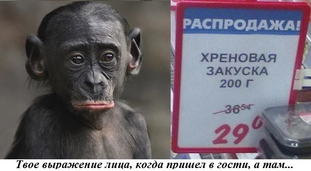 Держимся до пятницы: угарная подборка Держимся до пятницы: угарная подборка приколы, картинки, мемы, настроение, юмор, подборка