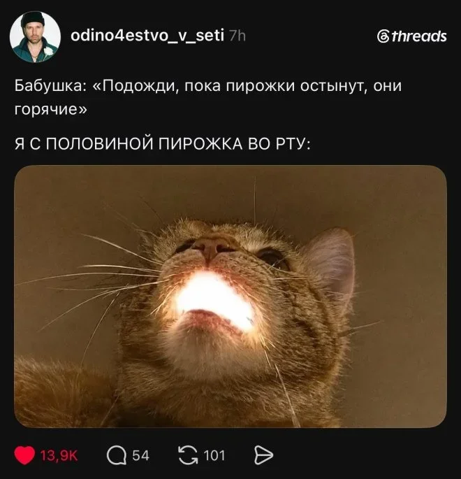 Свежие мемы: от плоской земли до гигабайтов Свежие мемы: от плоской земли до гигабайтов мемы, приколы, юмор, подборка