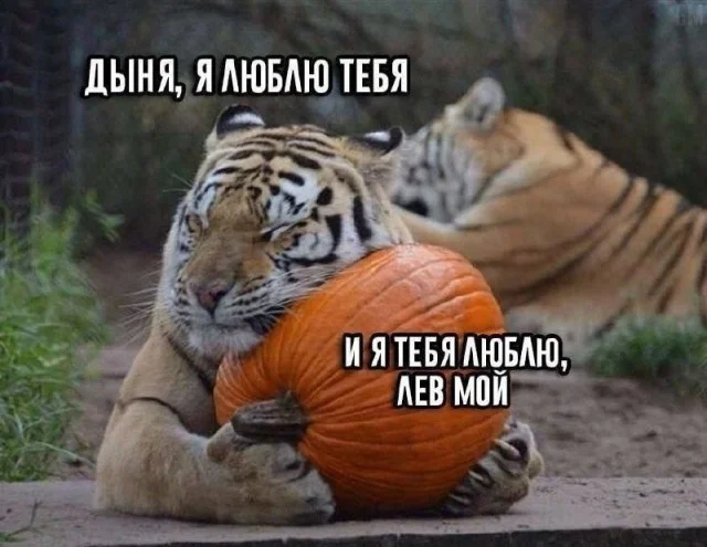 Угарная подборка: 50 мемов, которые спасут ваш день Угарная подборка: 50 мемов, которые спасут ваш день мемы, приколы, картинки, подборка, жиза