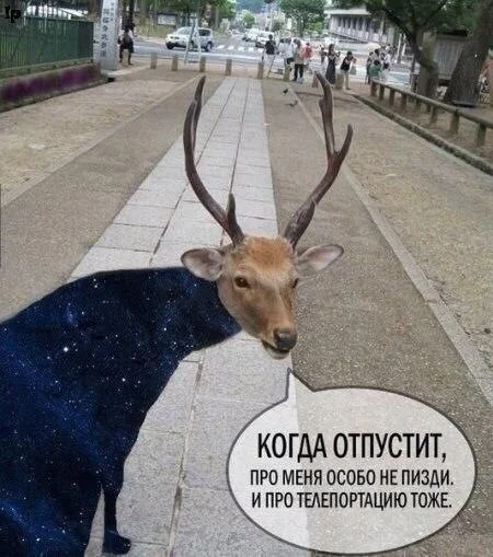 Угарная подборка: 50 мемов, которые спасут ваш день Угарная подборка: 50 мемов, которые спасут ваш день мемы, приколы, картинки, подборка, жиза