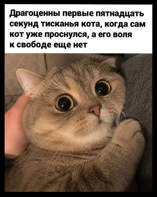 Юмор на вечер: подборка лучших анекдотов анекдоты, юмор, приколы, смешное