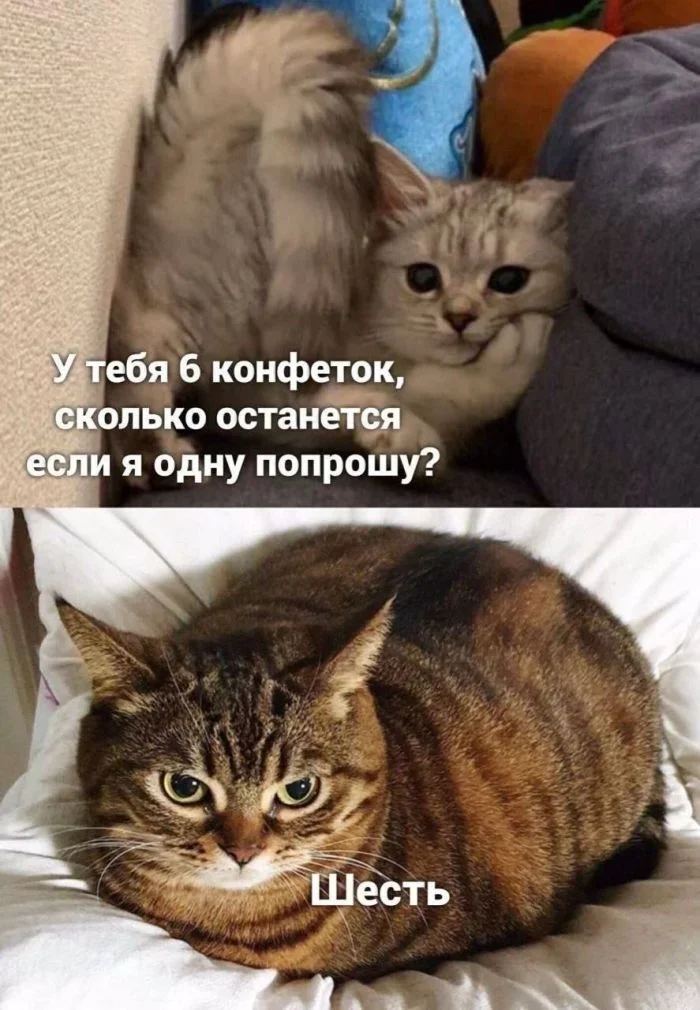 Утренний заряд позитива: новая порция мемов