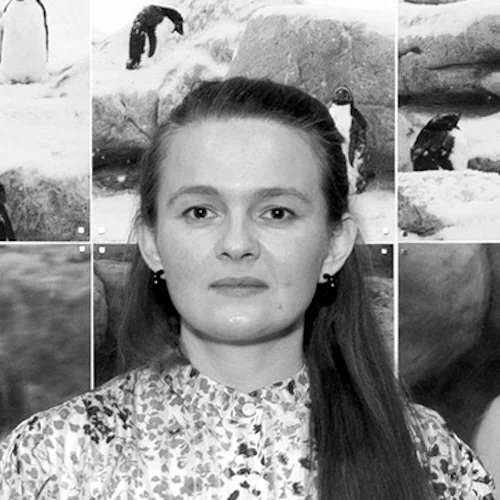 После школы: чем занимаются выпускники «Свободных мастерских» искусство, выставка, художники, современное искусство, ММОМА