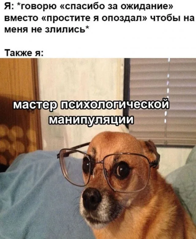 Утренний юмор: мемы, которые поднимут настроение Утренний юмор: мемы, которые поднимут настроение мемы, приколы, юмор, подборка, интернет