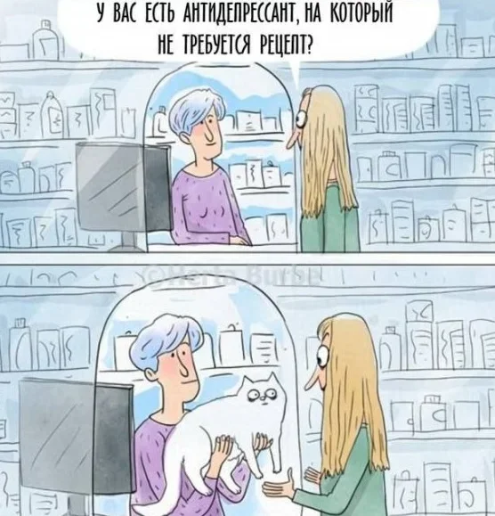 Утренний юмор: мемы, которые поднимут настроение Утренний юмор: мемы, которые поднимут настроение мемы, приколы, юмор, подборка, интернет