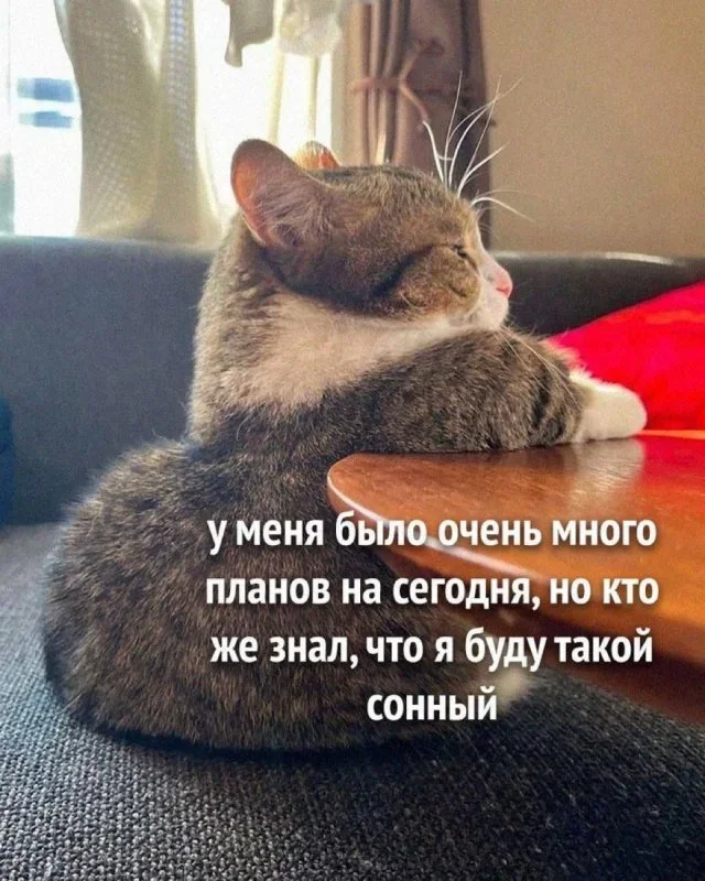 Утренний юмор: мемы, которые поднимут настроение Утренний юмор: мемы, которые поднимут настроение мемы, приколы, юмор, подборка, интернет