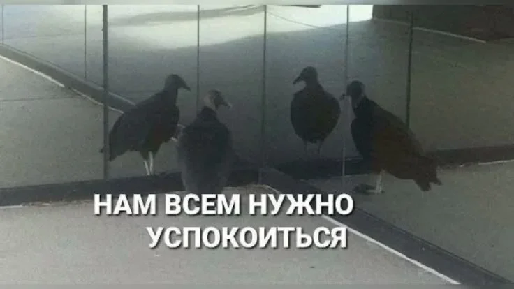 Суббота, пора смеяться: как мы выживаем в офисе мемы, работа, офис, приколы, юмор