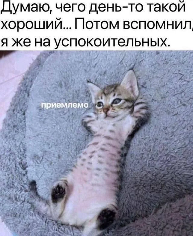 Суббота, пора смеяться: как мы выживаем в офисе мемы, работа, офис, приколы, юмор