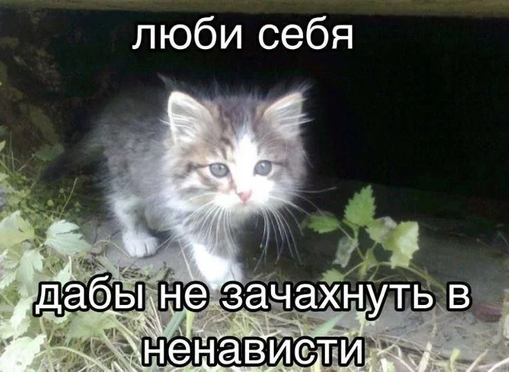 Суббота, пора смеяться: как мы выживаем в офисе мемы, работа, офис, приколы, юмор
