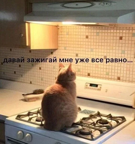 Суббота, пора смеяться: как мы выживаем в офисе мемы, работа, офис, приколы, юмор