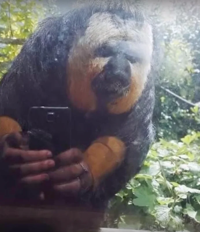Фото, которые заставят ваш мозг усомниться в реальности Фото, которые заставят ваш мозг усомниться в реальности оптические иллюзии, приколы, фото, интересное, обман зрения