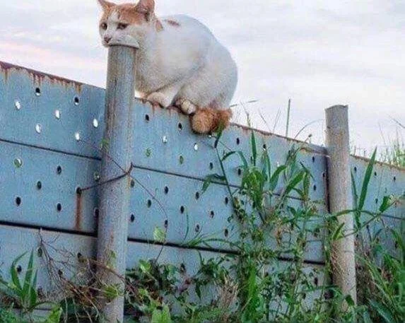 Фото, которые заставят ваш мозг усомниться в реальности Фото, которые заставят ваш мозг усомниться в реальности оптические иллюзии, приколы, фото, интересное, обман зрения