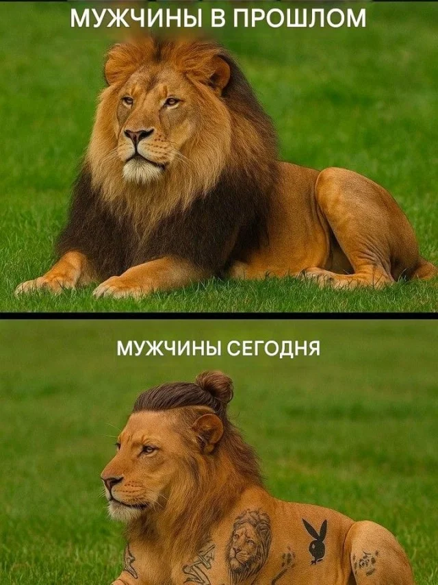 Смех продлевает выходные: убойная подборка мемов мемы, приколы, подборка, юмор, картинки