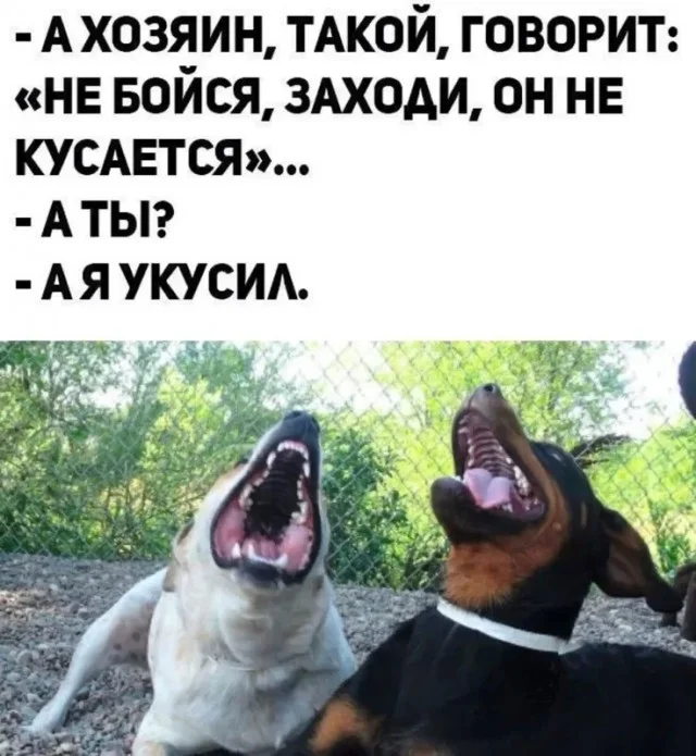 Смех продлевает выходные: убойная подборка мемов мемы, приколы, подборка, юмор, картинки