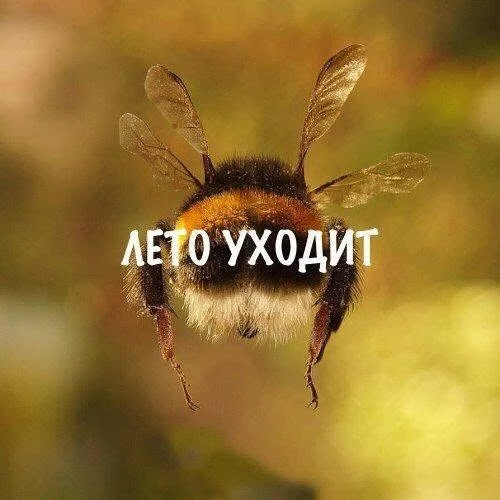Смех продлевает выходные: убойная подборка мемов мемы, приколы, подборка, юмор, картинки