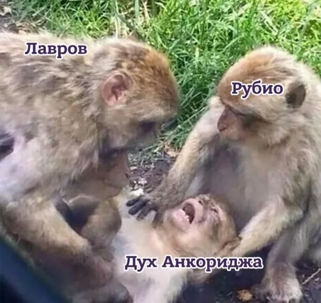 Смех продлевает выходные: убойная подборка мемов мемы, приколы, подборка, юмор, картинки