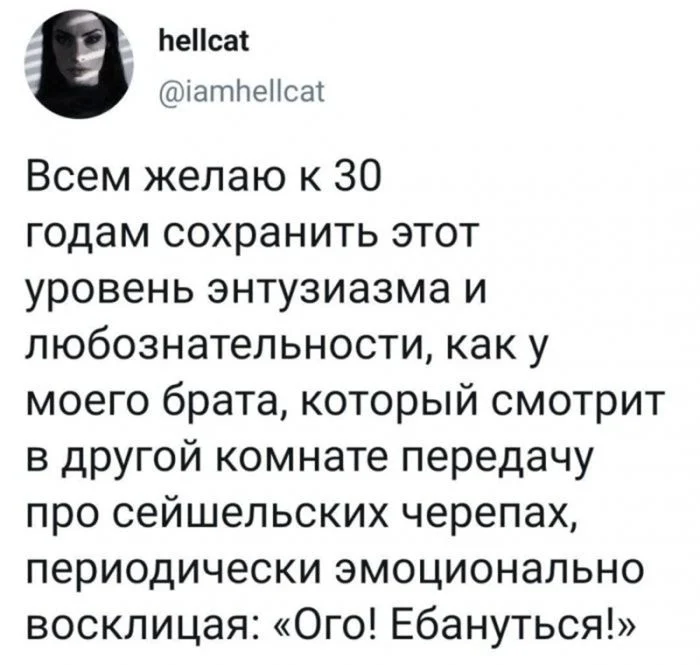Токсичная подборка: 20 мемов для тех, кого уже ничего не проймет черный юмор, мемы, подборка, токсичность, цинизм