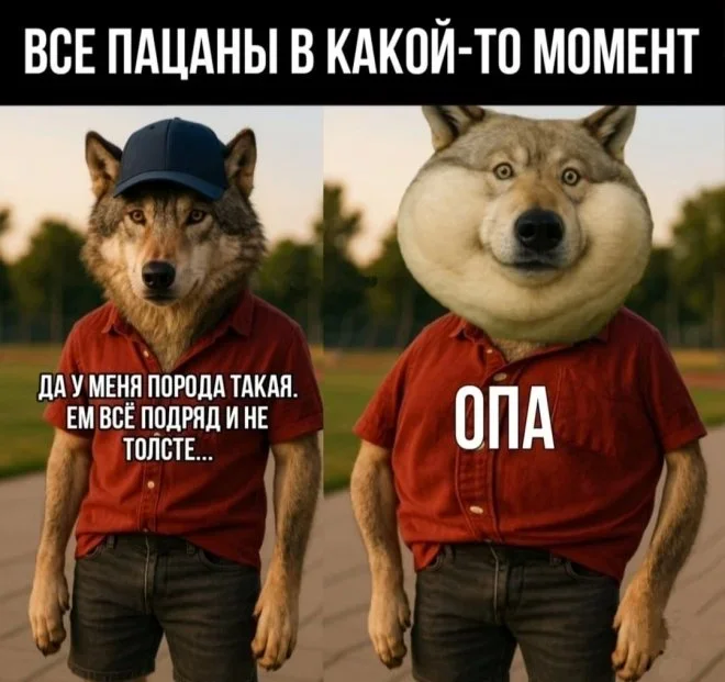 Утренний юмор: ковчег, звуки и рыночек мемы, приколы, юмор, картинки, подборка