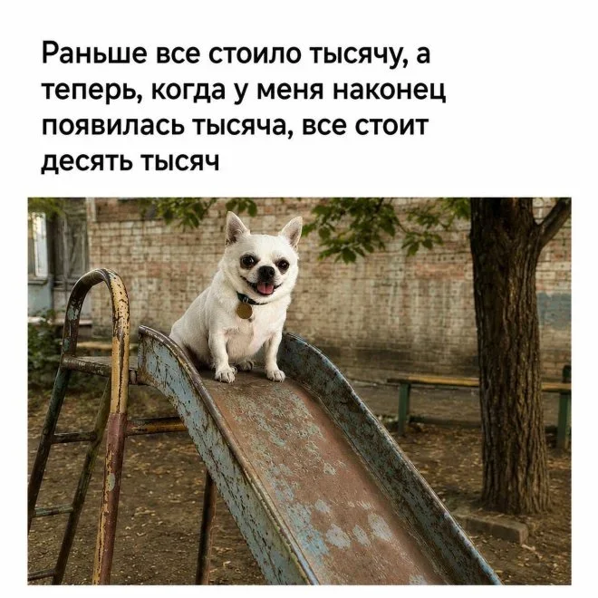 Утренний юмор: ковчег, звуки и рыночек мемы, приколы, юмор, картинки, подборка