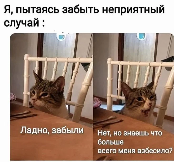 Утренний юмор: ковчег, звуки и рыночек мемы, приколы, юмор, картинки, подборка