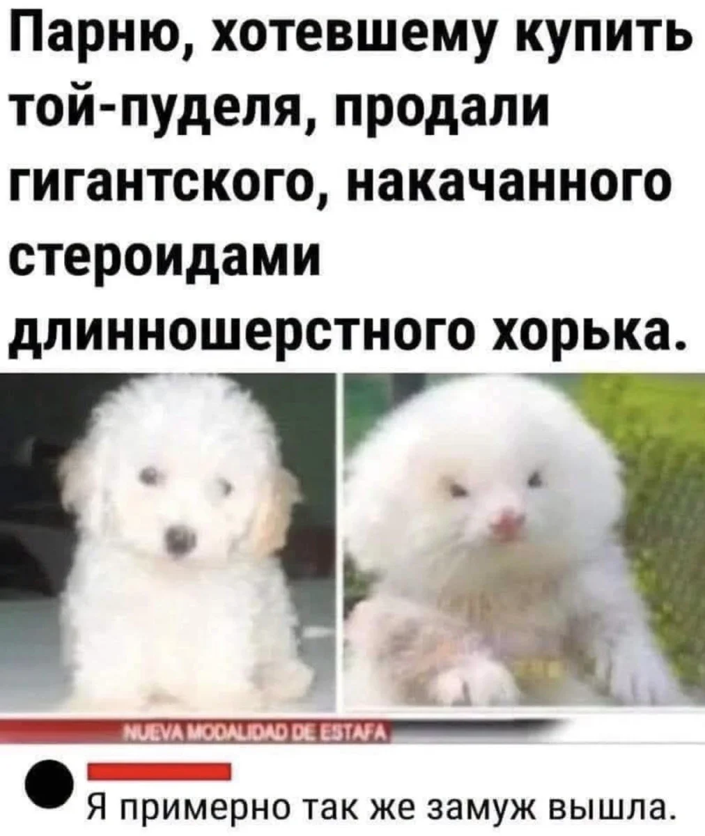 Юмор за день и сын игрока в покер Юмор за день и сын игрока в покер юмор, мемы, приколы, подборка, покер