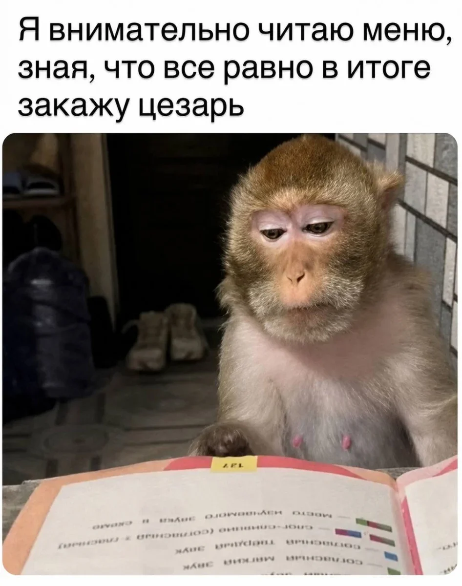 Недельный заряд смеха: самые сочные мемы мемы, приколы, юмор, подборка