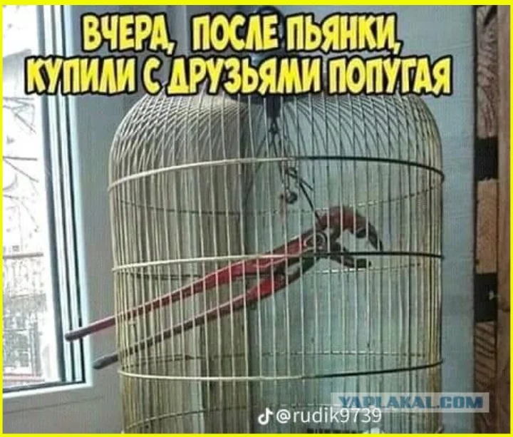 Настоящий друг не бросит: 7 доказательств друзья, приколы, юмор, подборка