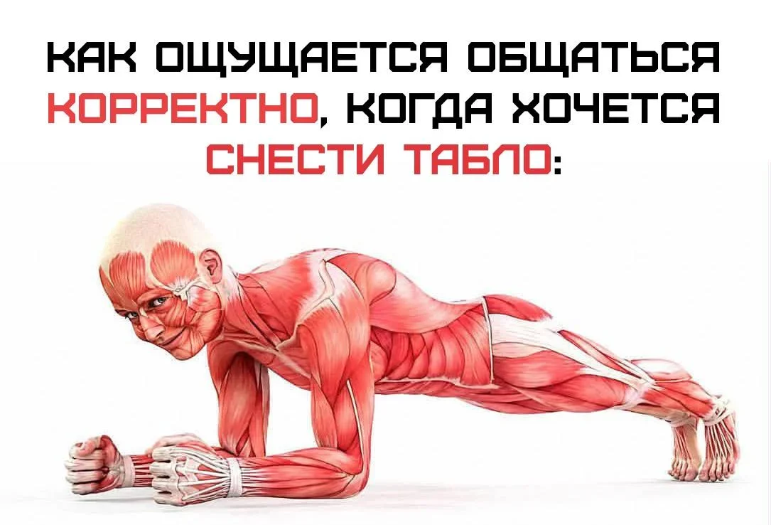 Утренний заряд позитива: 23 мема для поднятия настроения Утренний заряд позитива: 23 мема для поднятия настроения мемы, приколы, юмор, картинки, настроение