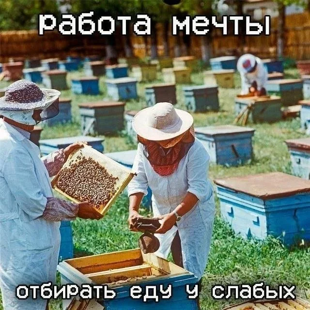 Утренний заряд позитива: 23 мема для поднятия настроения Утренний заряд позитива: 23 мема для поднятия настроения мемы, приколы, юмор, картинки, настроение
