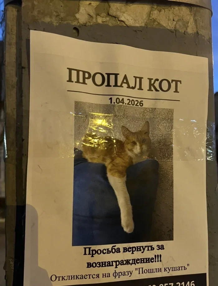 Утренний заряд позитива: 23 мема для поднятия настроения Утренний заряд позитива: 23 мема для поднятия настроения мемы, приколы, юмор, картинки, настроение