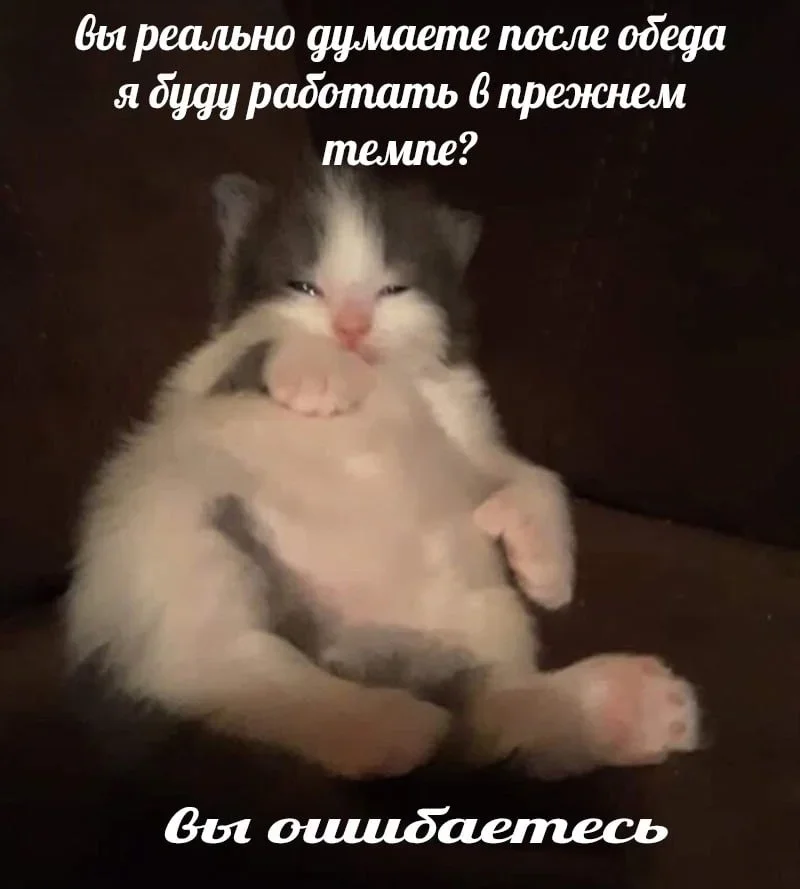 Офисное безумие: мемы, которые поймут все мемы, работа, офис, приколы, юмор