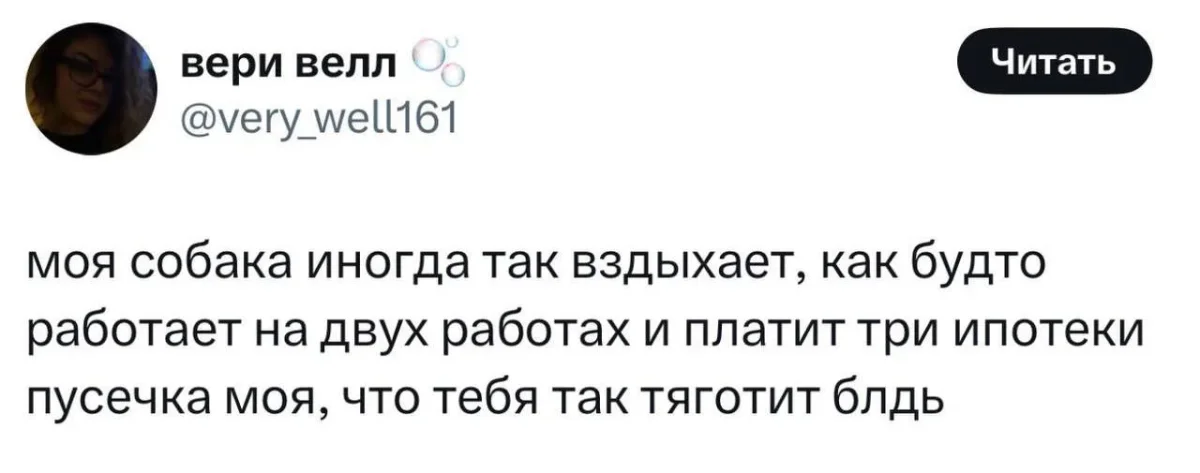 Офисное безумие: мемы, которые поймут все мемы, работа, офис, приколы, юмор