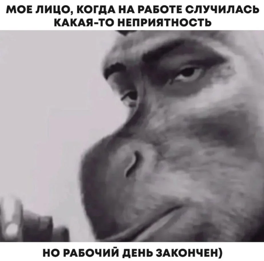 Офисное безумие: мемы, которые поймут все мемы, работа, офис, приколы, юмор