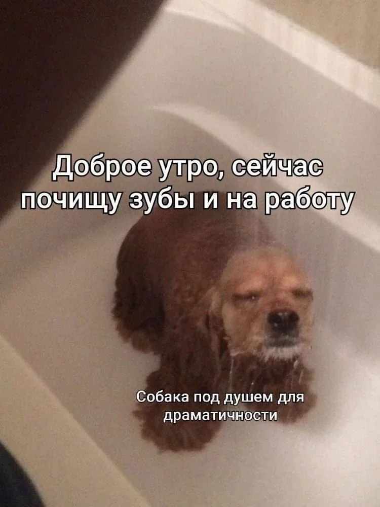 Офисное безумие: мемы, которые поймут все мемы, работа, офис, приколы, юмор