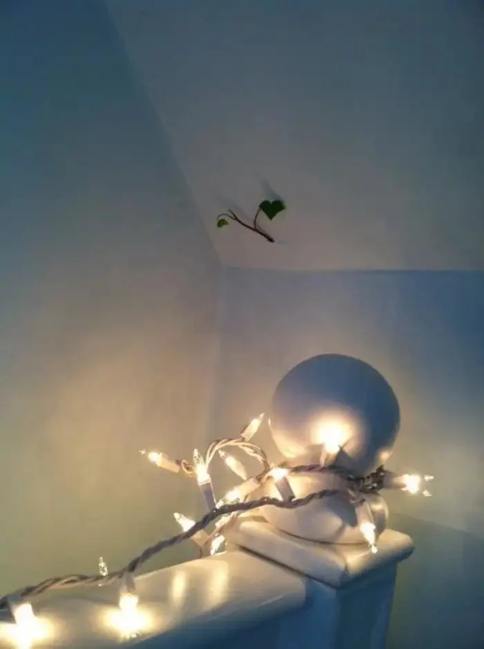 Ничто не остановит рост: как растения побеждают бетон и железо Ничто не остановит рост: как растения побеждают бетон и железо природа, растения, жизненная сила, мотивация, подборка