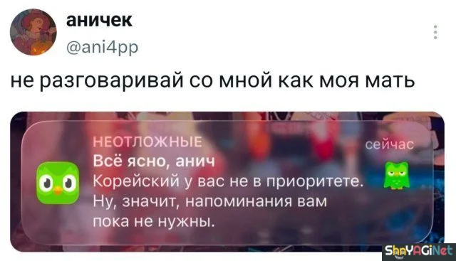 Смех сквозь слёзы: свежие комментарии из соцсетей приколы, комментарии, соцсети, юмор, подборка