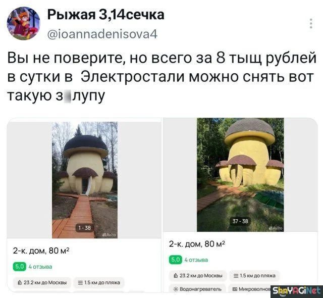 Смех сквозь слёзы: свежие комментарии из соцсетей