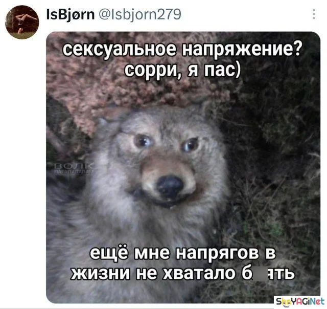 Смех сквозь слёзы: свежие комментарии из соцсетей приколы, комментарии, соцсети, юмор, подборка