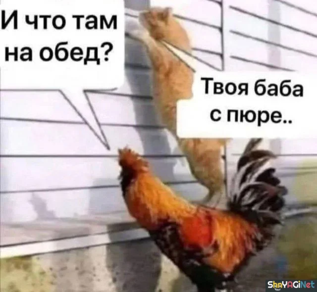 Порция угара: картинки, чтобы поднять настроение Порция угара: картинки, чтобы поднять настроение приколы, картинки, юмор, подборка