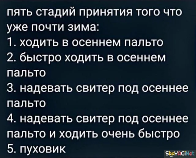Порция угара: картинки, чтобы поднять настроение Порция угара: картинки, чтобы поднять настроение приколы, картинки, юмор, подборка